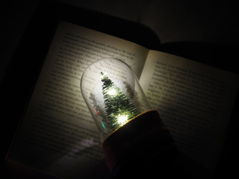 Closeup of mini size Christmas tree with illuminated light on an opened book at night. Selected focus.