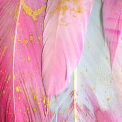 Beautiful Pink-blue vintage color trends feather texture with golden drops of paint background
