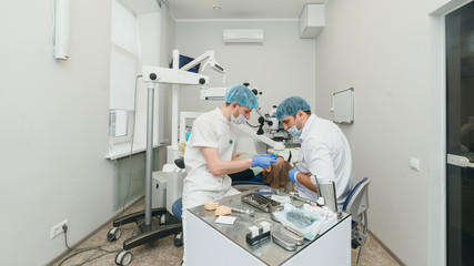 Obraz premium Doctor used microscope. Dentist is treating patient in modern dental office. Operation is carried out using cofferdam. Client is inserted and restored teeth, make denture. Orthodontist and assistant