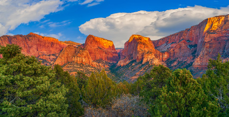 Fototapeta premium Panoramic view of Kolob Canyons at sunset.Zion National park.Utah.USA
