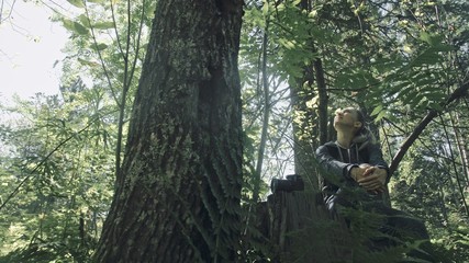 Traveler photographing scenic view in forest. One caucasian woman shooting nice magic look. Girl...