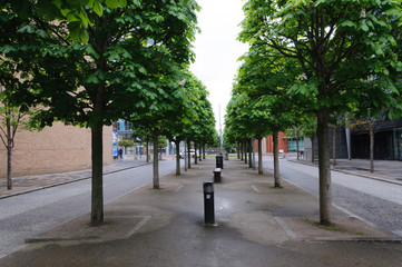 Tree-lined walkway is deserted of people in the afternoon in Belfast, Northern Ireland