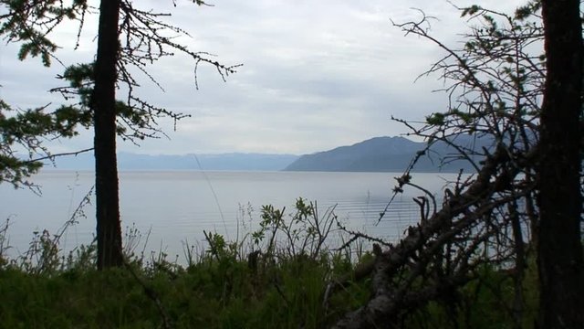 Natural landscape on background of green trees on rocky coast of lake Baikal and clear water create with clear water create an atmosphere of peace for exotic ecotourism in wildlife Siberia in Russia.