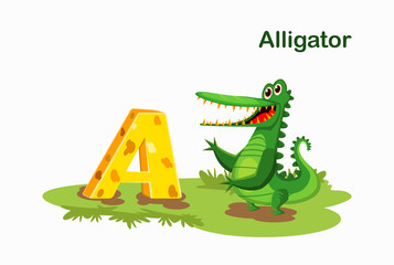 A for alligator. cartoon animals alphabet illustration. Kid educational illustration.