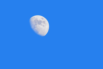 Half moon and blue sky without clouds