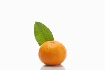 Close-Up Of Orange on White Background
