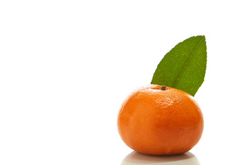 Close-Up Of Orange on White Background