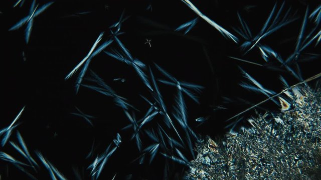 Crystallization. Crystal Growth Chemical Reaction Microscop Timelapse