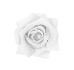 Single white or gray rose flowers isolated on background , clipping path top view