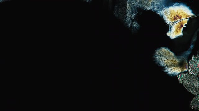 Crystallization Microscopic Timelapse Acetum Chemical Process