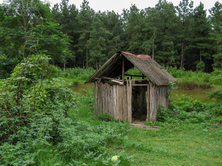 Old wooden hut near the lake in the forest. Wooden cabin standing among  trees in forest during the summer.  Cottage Suitable for fishing and hunting.