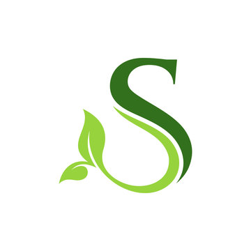 Initial Letter S With Leaf Luxury Logo. Green leaf logo Template vector Design.