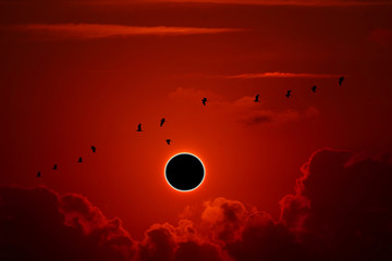 phenomenon of partial sun eclipse over silhouette birds flying and sunset sky
