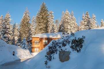 Lodge in winter forest