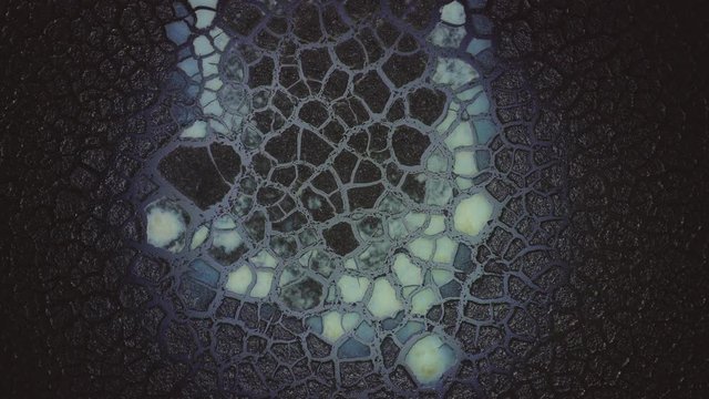 Crystallization. Cell Division Space