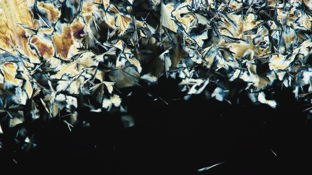 Crystallization. Crystal Growth Chemical Reaction Microscop Timelapse