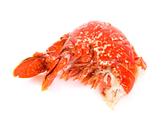 Lobster tail