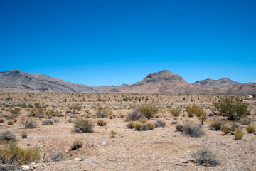 Fototapeta na wymiar Hot South Western desert with brush and barren mountains under a blue sky.