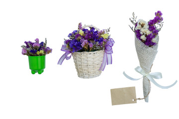 flowers in pots isolated on white