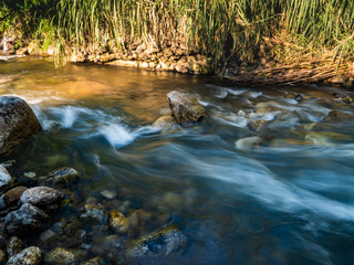 Water creates life for everything on earth