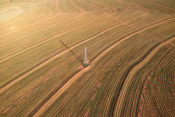 Aerial view from drone of little peanut plant in field and high voltage tower in Brazil