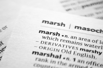 Fototapeta premium Word or phrase Marsh in a dictionary.