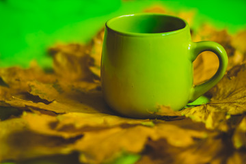 Yellow autumn leaves and green coffee mug on a green background