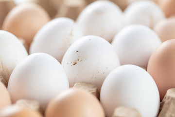 Fresh chicken eggs in industrial mud as a background