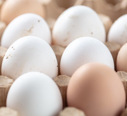 Fresh chicken eggs in industrial mud as a background