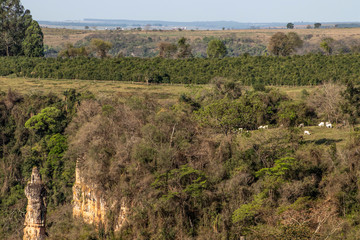 Fototapeta na wymiar Rock formation composed of sandstone known as Stone Tower or Finger of God, in Ocaucu municipality, in Sao Paulo state, Brazil