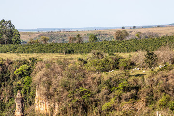 Rock formation composed of sandstone known as Stone Tower or Finger of God, in Ocaucu municipality, in Sao Paulo state, Brazil