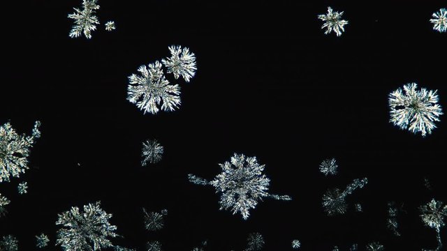 crystallization, crystal growth, chemical reaction, microscop timelapse, chemistry
