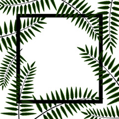 frame with green leaves,fern background