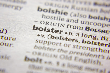Word or phrase Bolster in a dictionary.