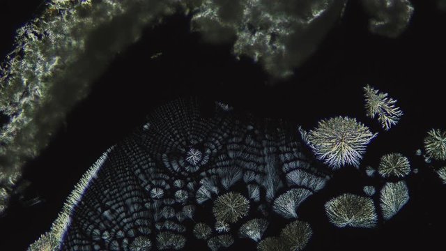crystallization, crystal growth, chemical reaction, microscop timelapse, chemistry
