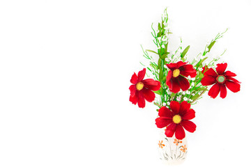 Red flowers and green plants in white ceramic vase and on white background.