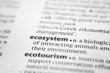 Word or phrase Ecosystem in a dictionary.