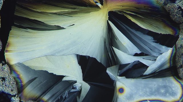 Crystallization Of Vitamins. Chemical Reaction Under Microscope