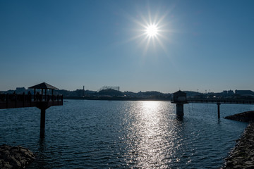 光条・光芒する太陽とキラキラ光る水面