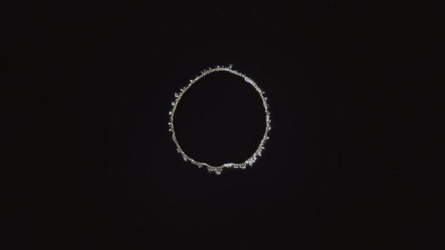 Crystallization. Cell Division Space