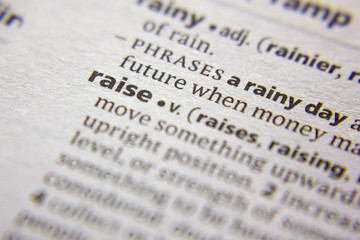 Word or phrase Raise in a dictionary.