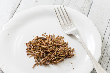 Fried cricket larvae