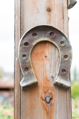 Horseshoe lucky horse