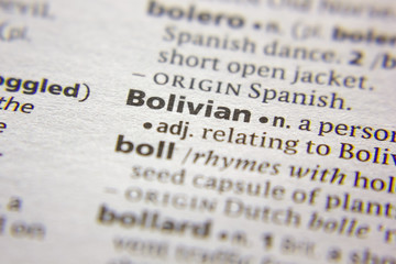 Word or phrase Bolivian in a dictionary.