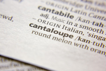 Word or phrase Cantaloupe in a dictionary.