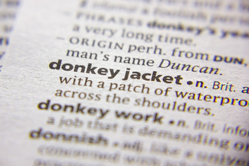 Word or phrase Donkey jacket in a dictionary.