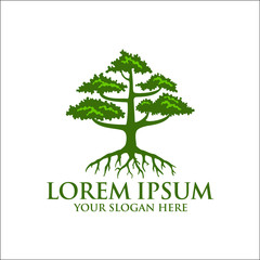 Tree with Roots Logo Design