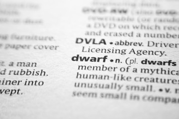 Fototapeta premium Word or phrase Dwarf in a dictionary.