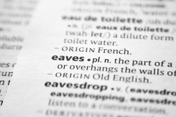 Word or phrase Eaves in a dictionary.