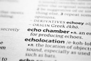 Word or phrase Echo chamber in a dictionary.